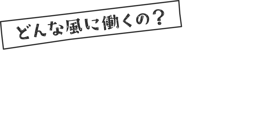 どんなふうに働くの?先生の1日を動画で
